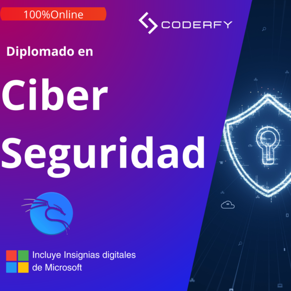 Diplomado en Hacking Ético y Ciberseguridad - En curso Martes