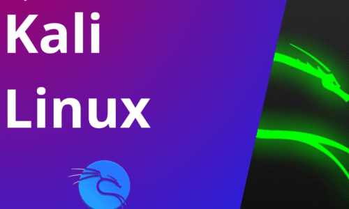25-2 Diplomado en Kali Linux