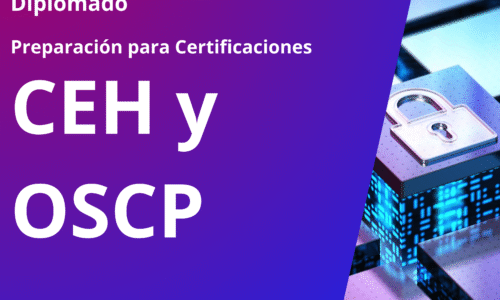 25-1 Diplomado en CEH y OSCP